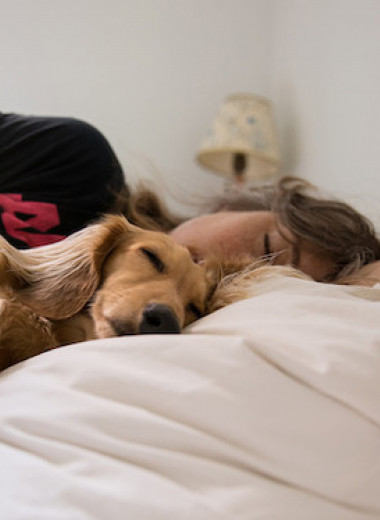 10 необычных способов быстро уснуть