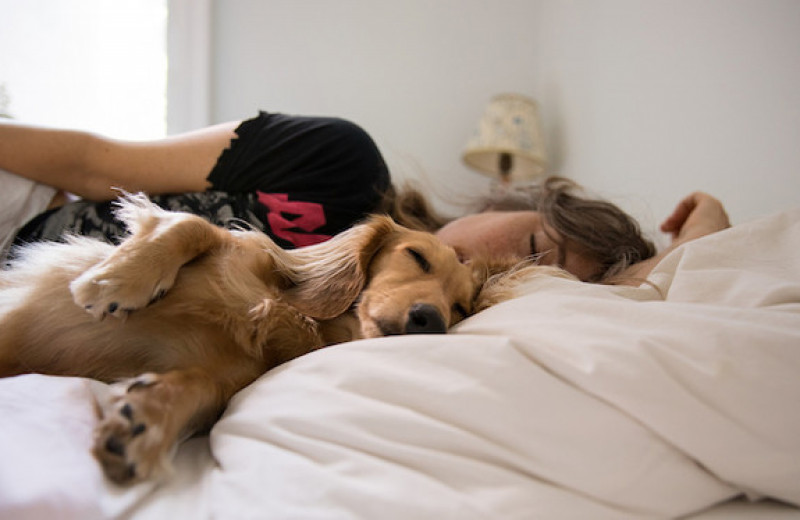 10 необычных способов быстро уснуть