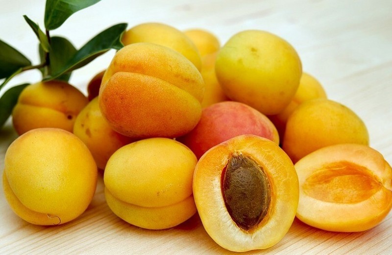 Не выбрасывай: польза и вред косточек абрикоса