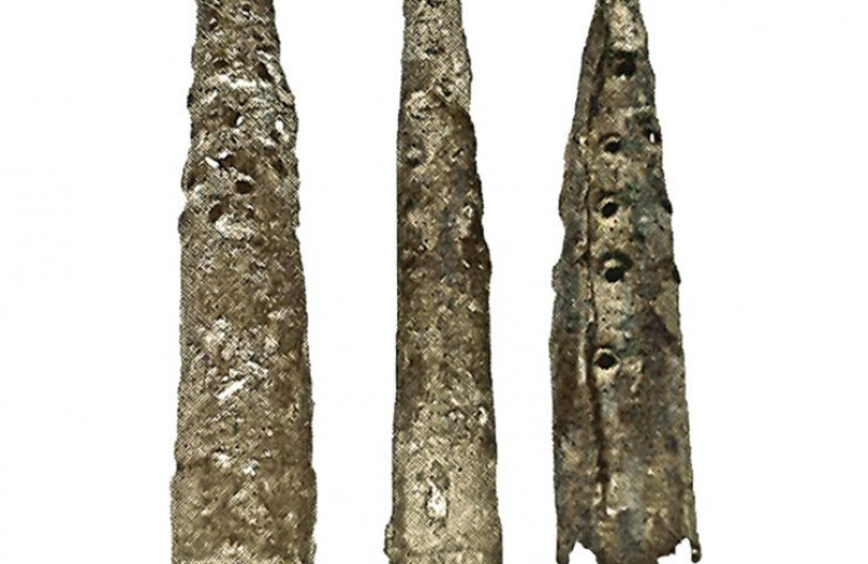 Шумерские «ритуальные скипетры» из коллекции Эрмитажа оказались соломинками для пива