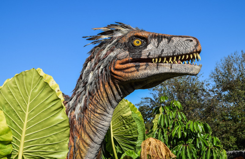 Вот что точно не ели динозавры: удивительные факты!