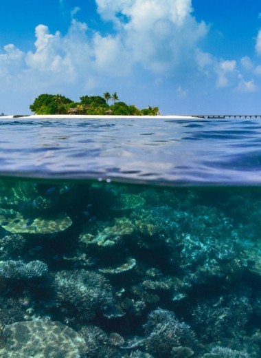 Подводная съемка для всех от Maafushivaru Maldives