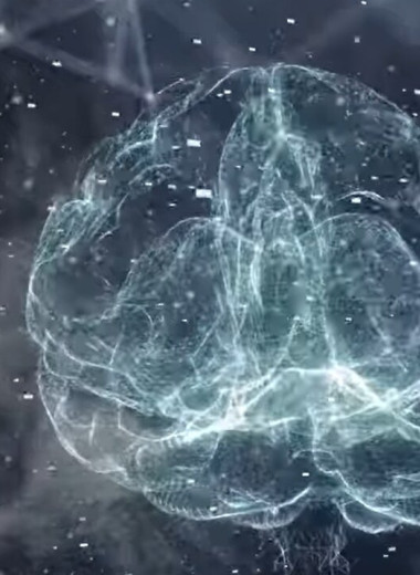 Мозг на продажу: компании собирают данные живых нейросетей