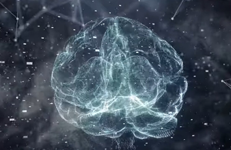 Мозг на продажу: компании собирают данные живых нейросетей