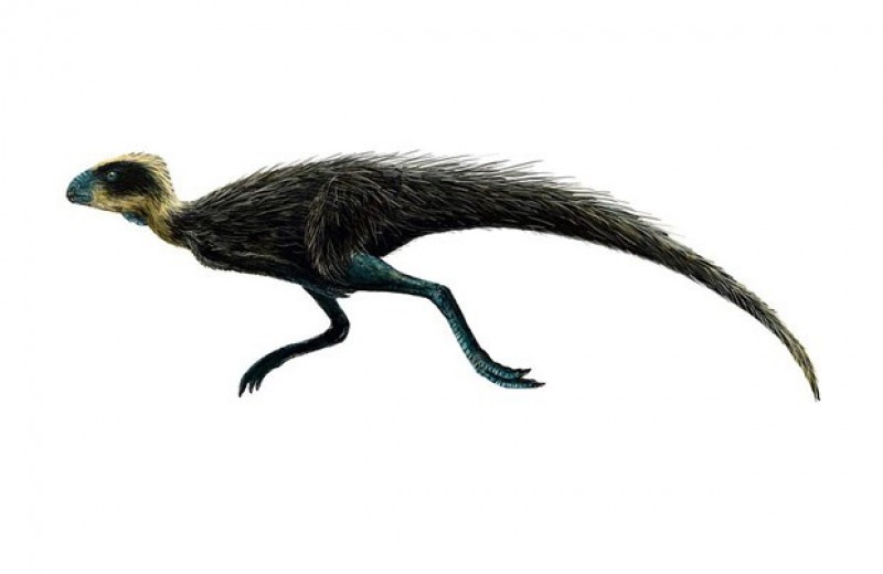 Палеонтологи приняли писанозавра в отряд птицетазовых