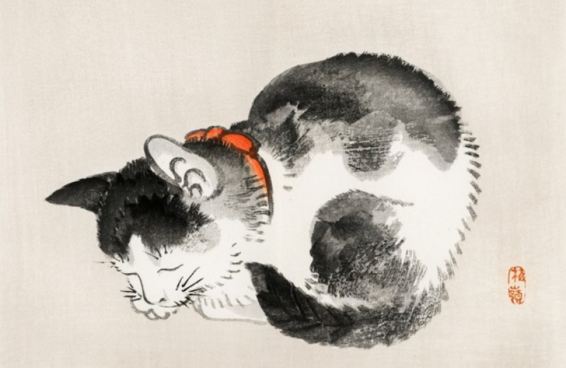 Гэнки Кавамура: Если все кошки в мире исчезнут