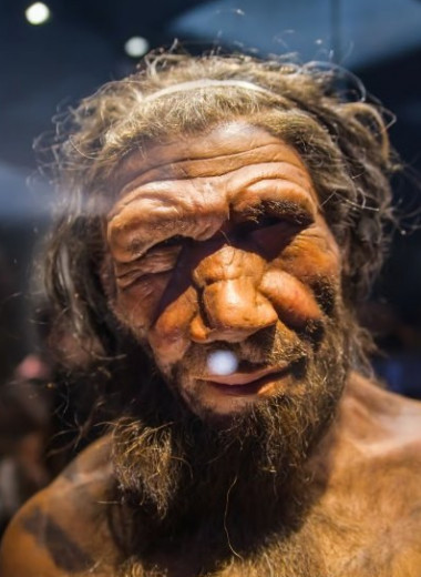 Ученые вырастили рецепторы запаха неандертальцев, чтобы узнать, насколько чутким был их нюх