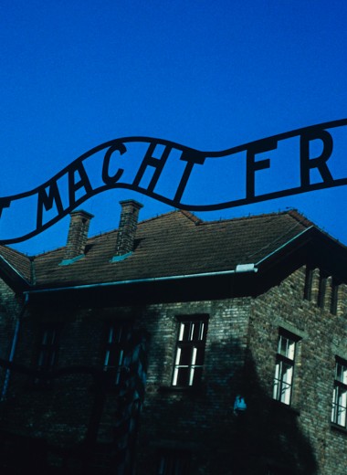 Хранительница знания: как 14-летняя узница Освенцима создала в концлагере подпольную библиотеку