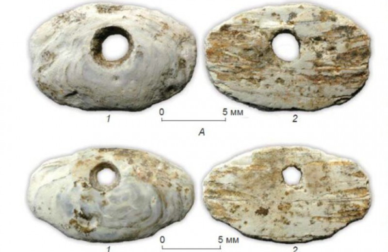 Подвески из вертикального детского захоронения эпохи неолита изготовили из ископаемых раковин