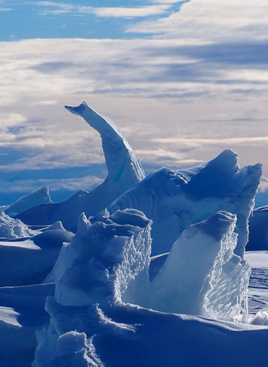 Где берут энергию бактерии подледных озер Антарктиды