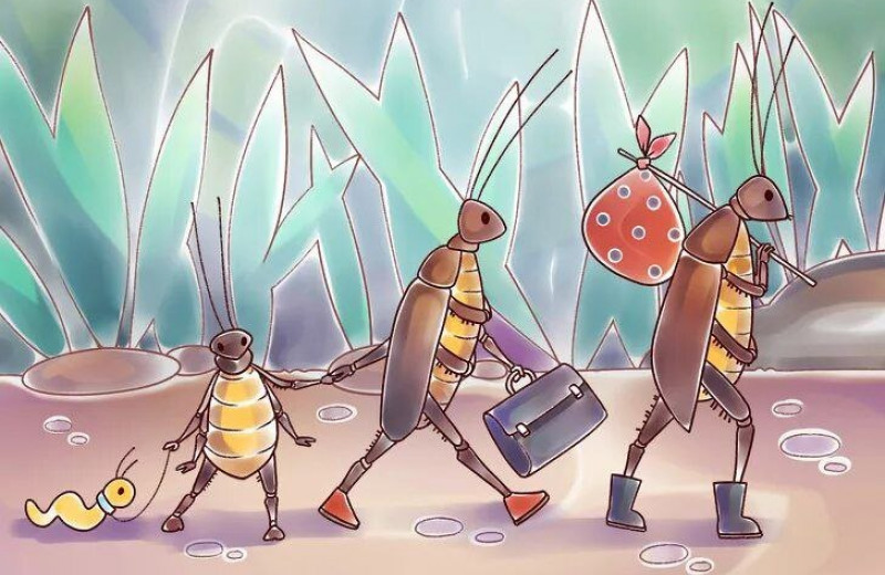 Моль, тараканы и клопы, вы сами уйдете, или вам помочь? Лучшие способы борьбы с насекомыми в квартире