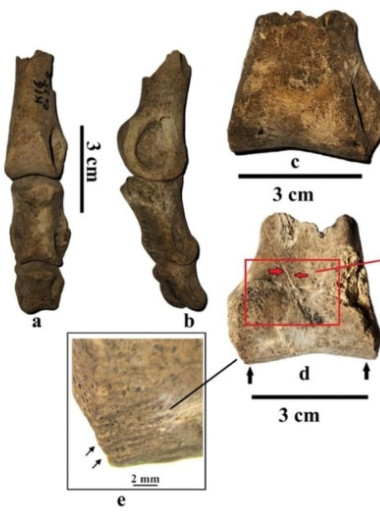Иберо-мавританские охотники добыли страуса