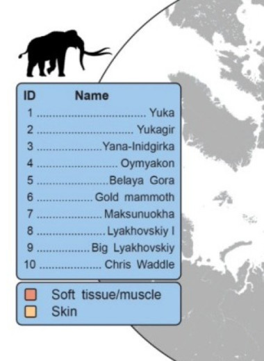 Секвенирована древнейшая РНК