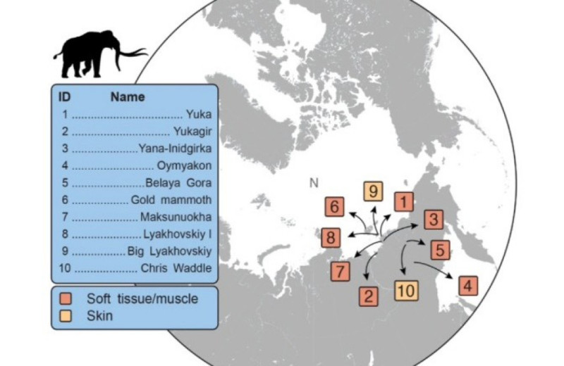 Секвенирована древнейшая РНК