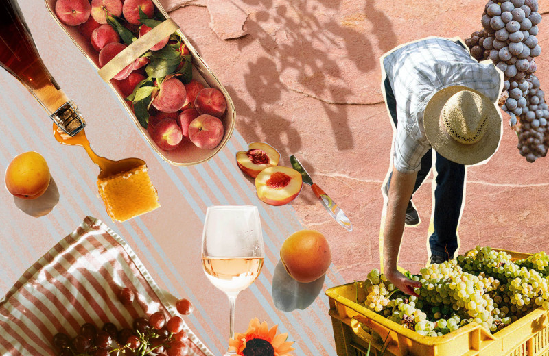 Бархат персика и барочный аромат: чем интересны крымские вина из «кокура»