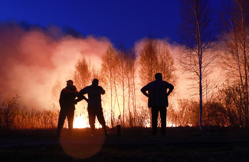 Почему леса в Сибири и Калифорнии горят каждый год и будут продолжать гореть