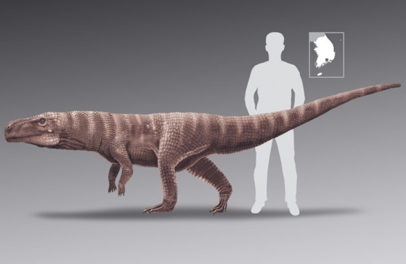 Следы крупных птерозавров в Корее приписали наземным двуногим крокодиломорфам