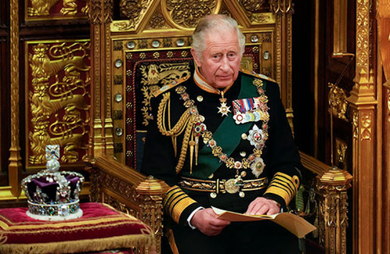 Лоббист, эколог и романтик: что делал принц Чарльз до того, как стать королем