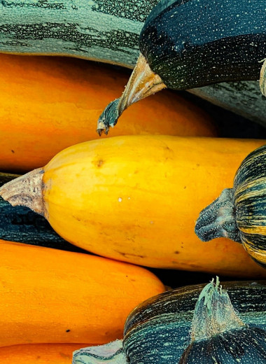 Разница принципиальна: чем цукини отличаются от кабачков