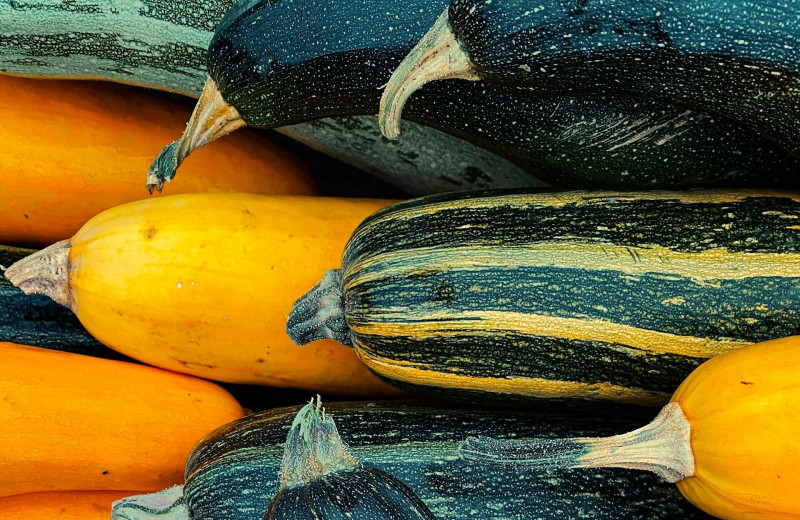 Разница принципиальна: чем цукини отличаются от кабачков