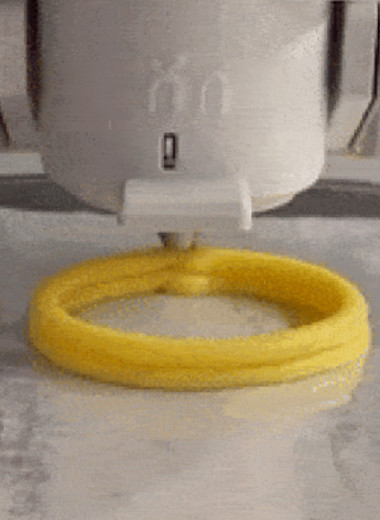 Инженеры напечатали веганские кольца кальмара