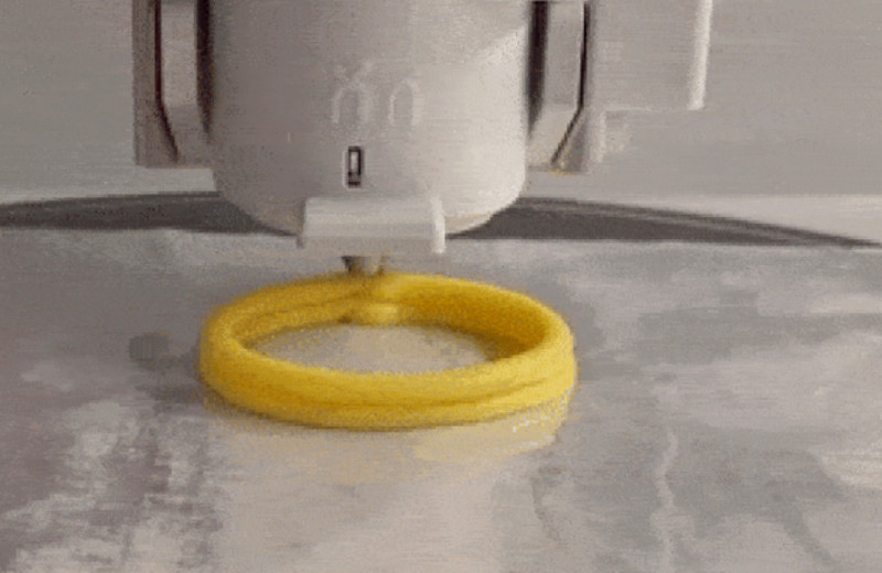 Инженеры напечатали веганские кольца кальмара