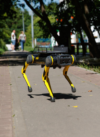 Киберпанк собачий! Тестируем робота-курьера о четырех ногах на улицах Москвы