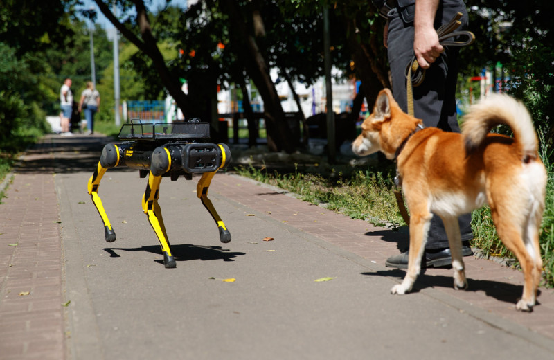 Киберпанк собачий! Тестируем робота-курьера о четырех ногах на улицах Москвы
