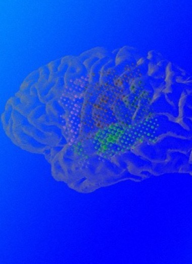 Тренировка на одних фразах помогла нейросети распознать по активности мозга другие