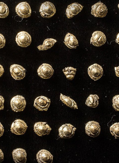 В тувинской Долине Царей найдены десятки золотых артефактов