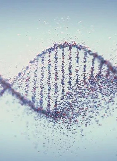 Как ДНК и РНК создали жизнь на Земле: новая теория о происхождении всего живого