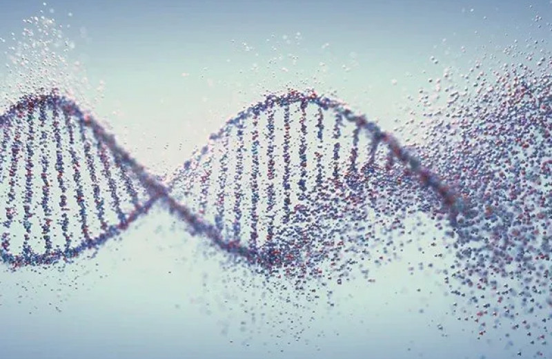 Как ДНК и РНК создали жизнь на Земле: новая теория о происхождении всего живого