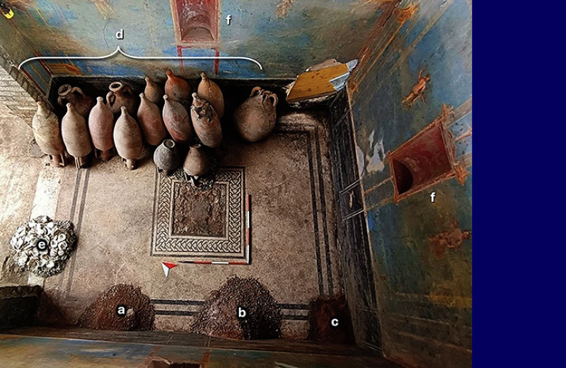 Краску из помпейского дома оценили в зарплатах римских солдат