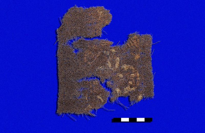 На тканях эпохи викингов обнаружили кармин и кермес