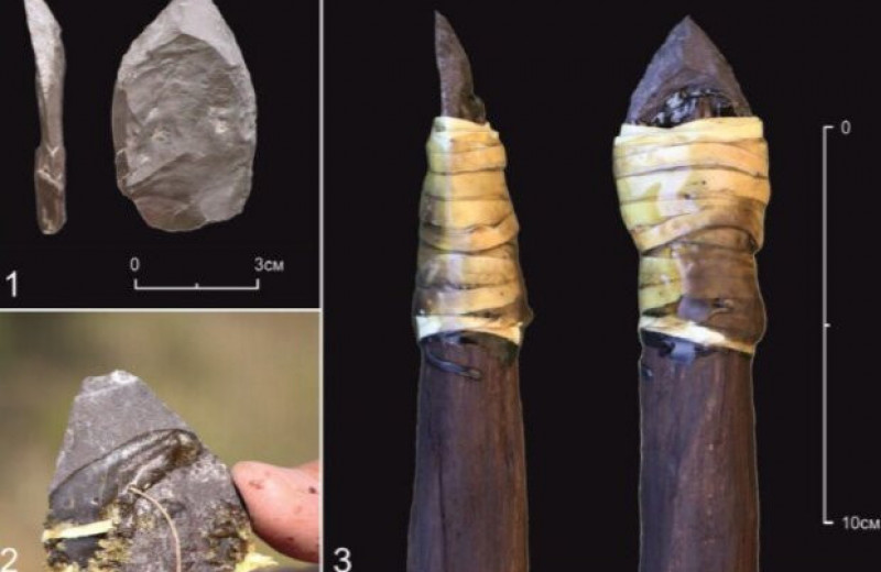 Российские археологи сделали неандертальские копья и потыкали ими туши быка и барана