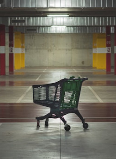 Историк Гарварда 8 лет путешествовал и сделал интересные выводы про капитализм