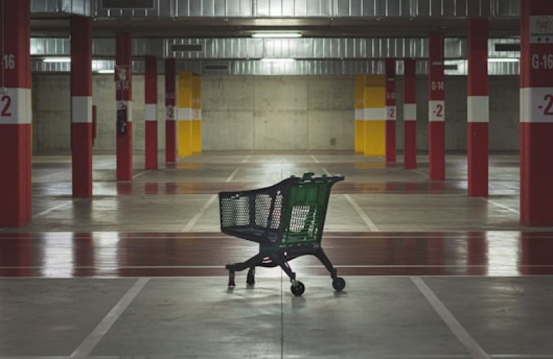 Историк Гарварда 8 лет путешествовал и сделал интересные выводы про капитализм