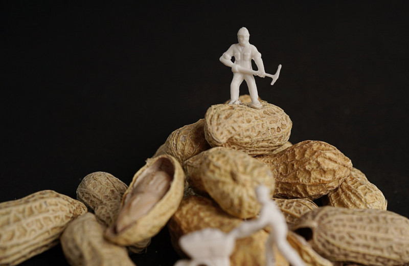 Как снизить риск аллергии на орехи у ребенка? Кормите арахисом с младенчества!