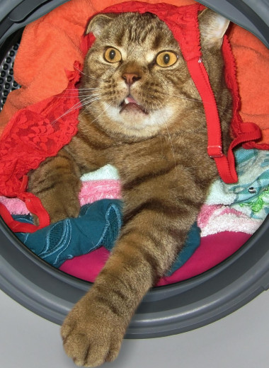 Вещи, которые нельзя стирать в стиральной машине