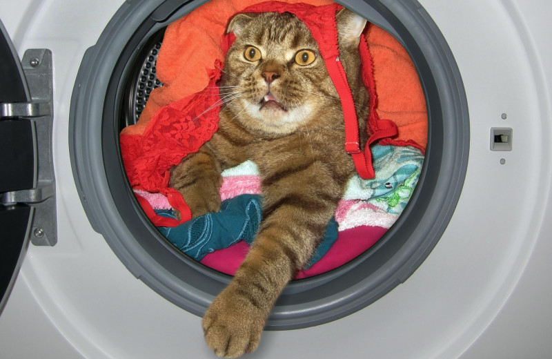 Вещи, которые нельзя стирать в стиральной машине