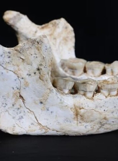 773 тысячи лет назад в Марокко жил последний общий предок людей и неандертальцев