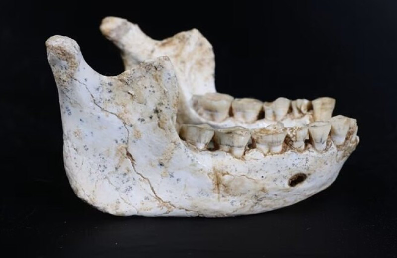 773 тысячи лет назад в Марокко жил последний общий предок людей и неандертальцев