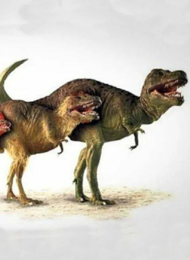 Кто появился раньше, курица или T-Rex? 20 ошеломляющих фактов, которые вас точно удивят