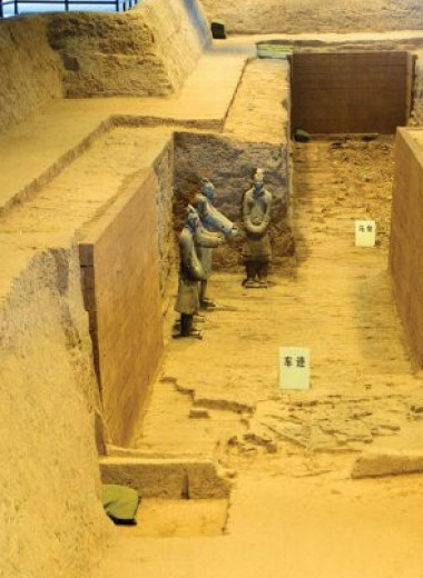 Лошади из мавзолея Цинь Шихаунди оказались высокими взрослыми самцами