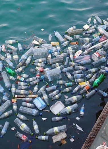 Пластиковый мусор достиг Марианской впадины