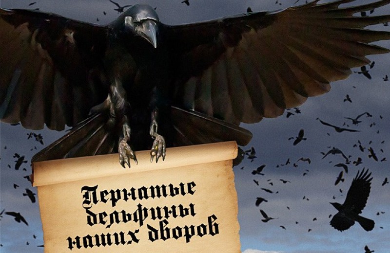 День считания ворон День считания ворон