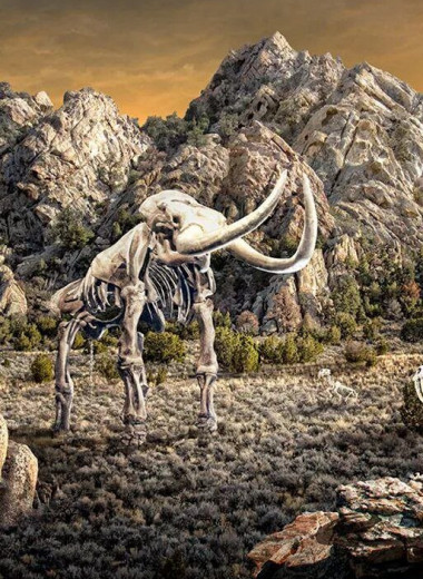 Страшные и загадочные динозавры среди нас: посмотрите на этих живых ископаемых XXI века