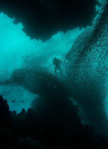 5 удивительных фактов о самой глубоководной части океана