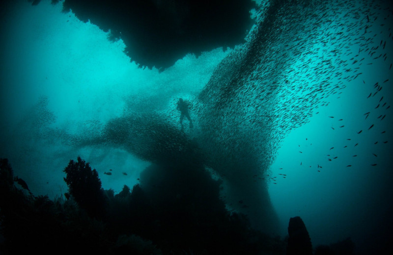 5 удивительных фактов о самой глубоководной части океана