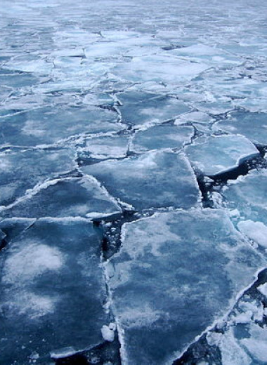 Лед тронулся: чем грозят изменения климата в Арктике